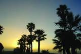 148 Los Angeles Avenue - Photo 40