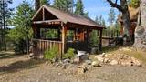 46336 Silvertip - Photo 22