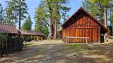46336 Silvertip - Photo 23