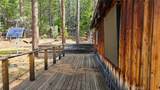 46336 Silvertip - Photo 30