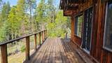 46336 Silvertip - Photo 31