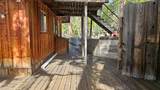 46336 Silvertip - Photo 37