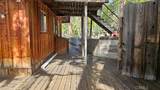 46336 Silvertip - Photo 38