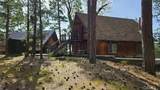 46336 Silvertip - Photo 5
