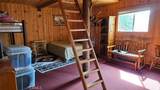 46336 Silvertip - Photo 41
