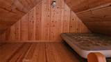 46336 Silvertip - Photo 46
