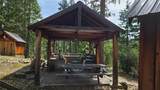 46336 Silvertip - Photo 47