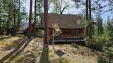 46336 Silvertip - Photo 6