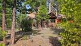 46336 Silvertip - Photo 58