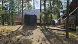 46336 Silvertip - Photo 60