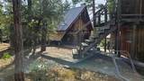 46336 Silvertip - Photo 7
