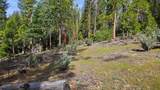 46336 Silvertip - Photo 65
