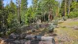 46336 Silvertip - Photo 66