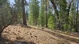 46336 Silvertip - Photo 68