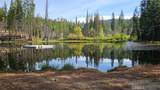 46336 Silvertip - Photo 70
