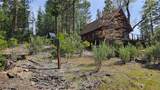 46336 Silvertip - Photo 8