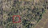 46336 Silvertip - Photo 71