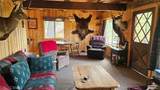 46336 Silvertip - Photo 9