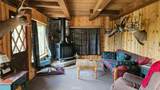 46336 Silvertip - Photo 10