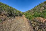 1 Butts Canyon - Photo 12