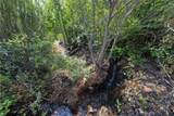1 Butts Canyon - Photo 21