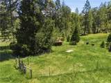 7019 Scott - Photo 74