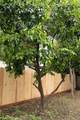 111 Macdonald - Photo 33