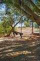 13511 Hilldale Road - Photo 11