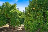 13511 Hilldale Road - Photo 31