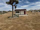 11551 Cactus - Photo 1