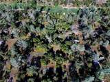 1 River Knolls - Photo 13