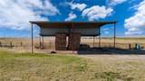 17626 Britto Road - Photo 53