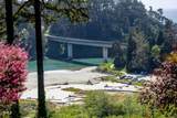 44691 Crestwood Drive - Photo 44