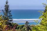 44691 Crestwood Drive - Photo 46