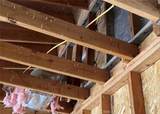 14555 Bellflower - Photo 44