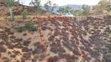 0 Sunny Slope - Photo 3