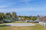 37672 Oxford Drive - Photo 42
