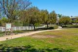 37672 Oxford Drive - Photo 45