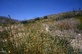  Big Pines Pav - Photo 8