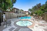 3513 Caminito Sierra - Photo 31