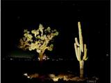 60611 Birdie Ln - Photo 4