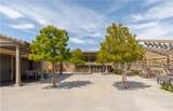 39435 Corvina Lane - Photo 48