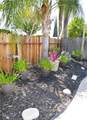 380 Tammy Drive - Photo 36