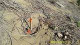 0 Hillside - Photo 14