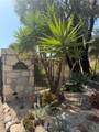 6000 Cavalleri Road - Photo 14
