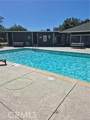 13902 Apple Lane - Photo 55