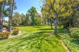 1125 Via Nice - Photo 30