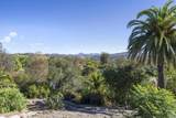 5501 Paseo Del Alba - Photo 8
