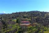 3729 Ben Hur Road - Photo 1