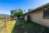 3729 Ben Hur Road - Photo 55